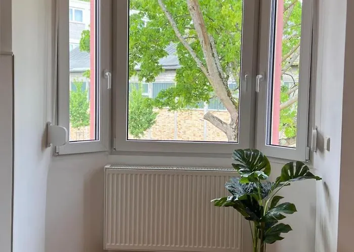 Mediterrane - Rome Frankenthal (Rhineland-Palatinate)